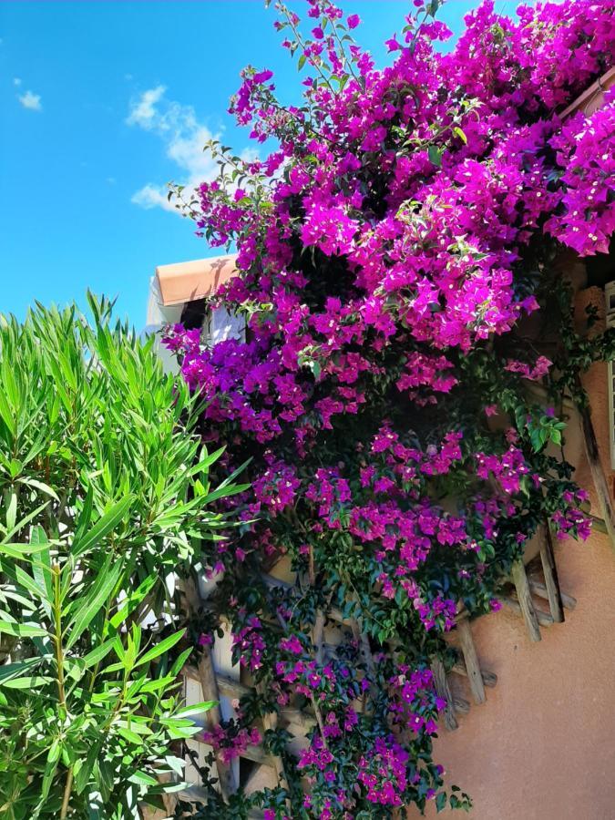 43-2 Les Maisons Du Rivage Bleu Gruissan Dış mekan fotoğraf